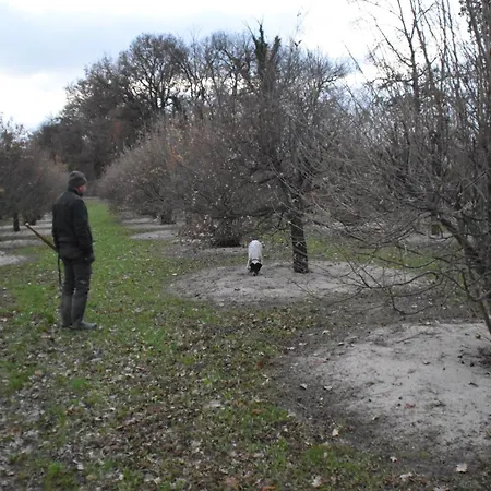 Gaia Truffle Experience