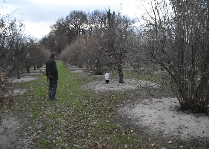 Gaia Truffle Experience