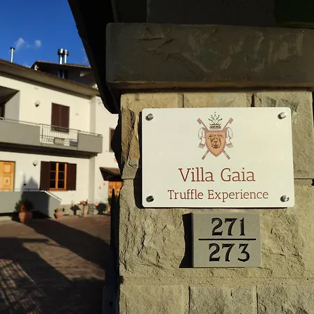 Feriehus Gaia Truffle Experience