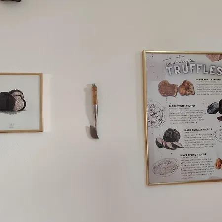 Gaia Truffle Experience Feriehus